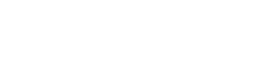 Solidus Wealth